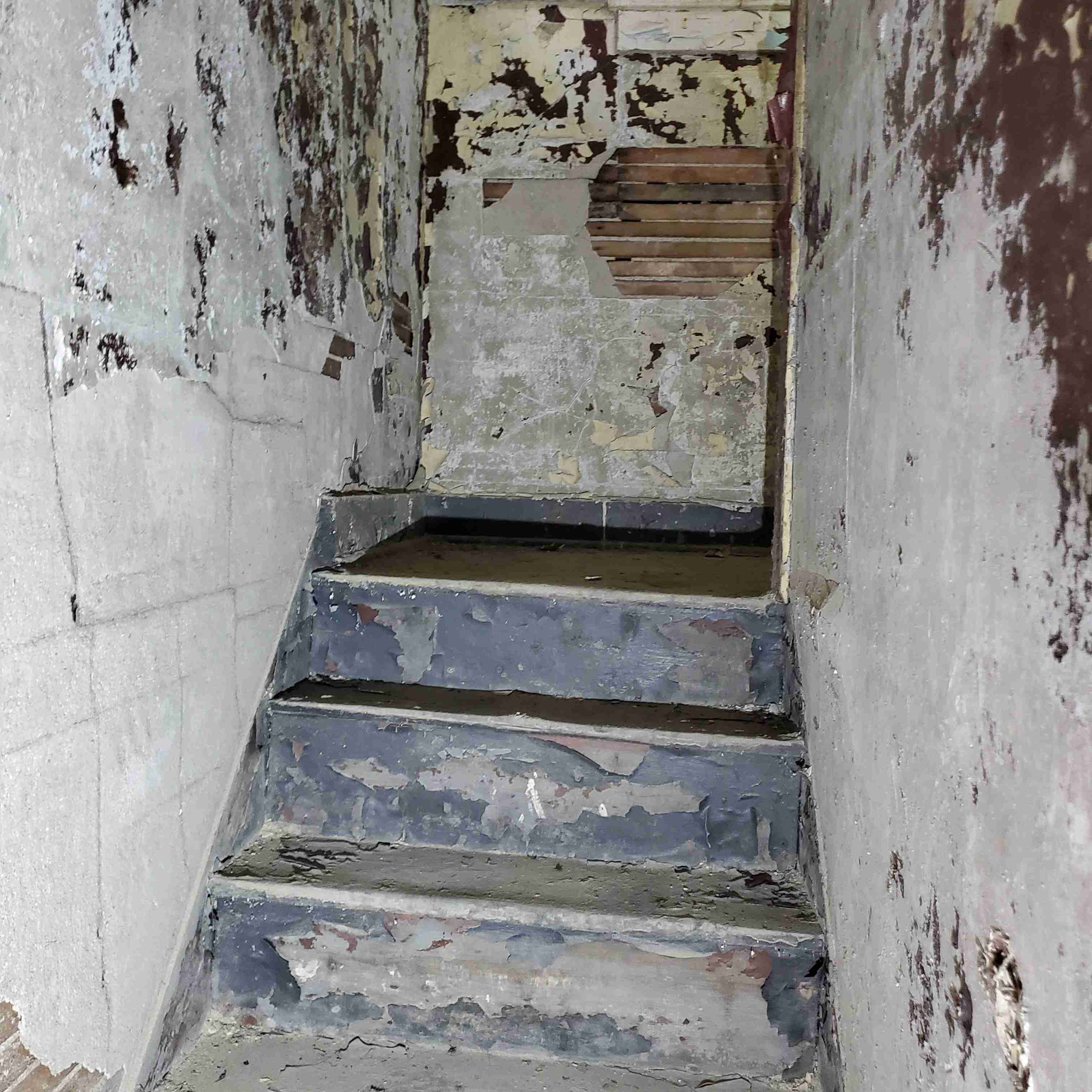 20200812_130229 (2).jpg